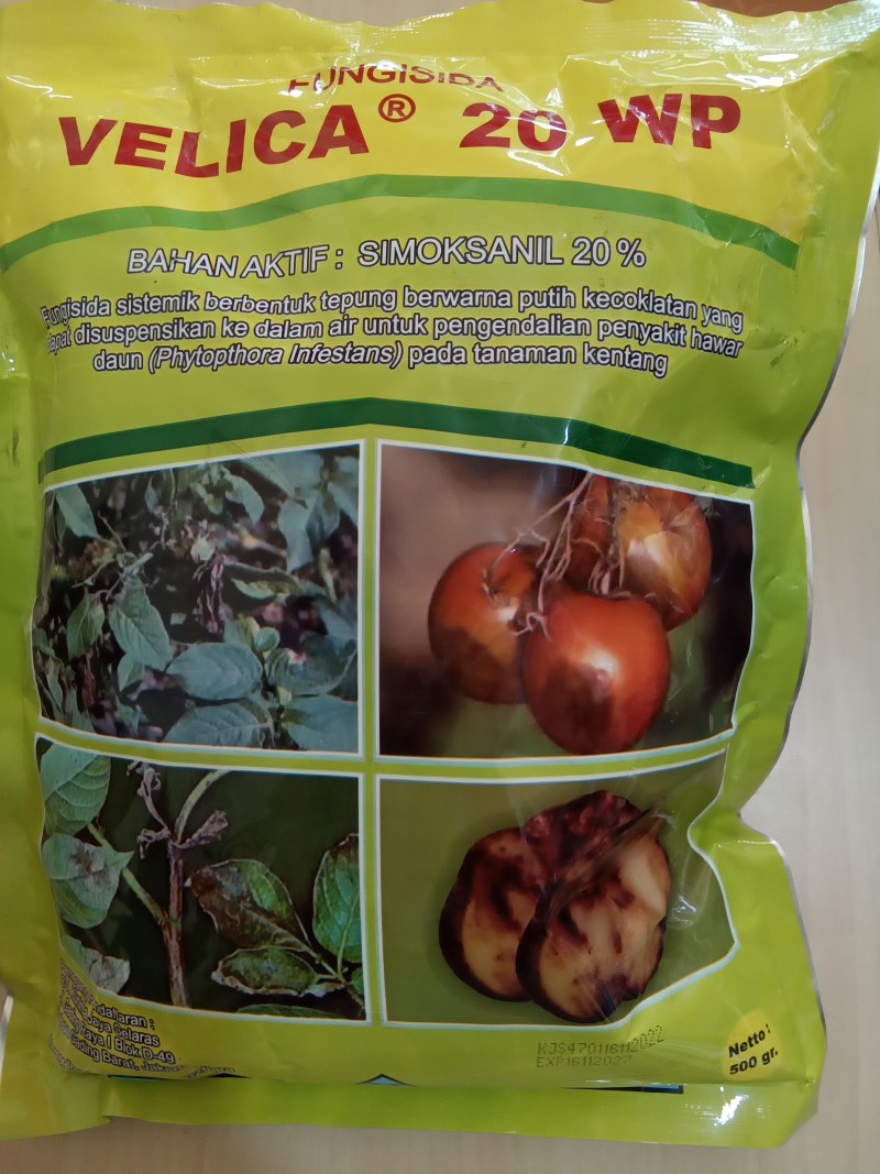 Velica kuning 20wp