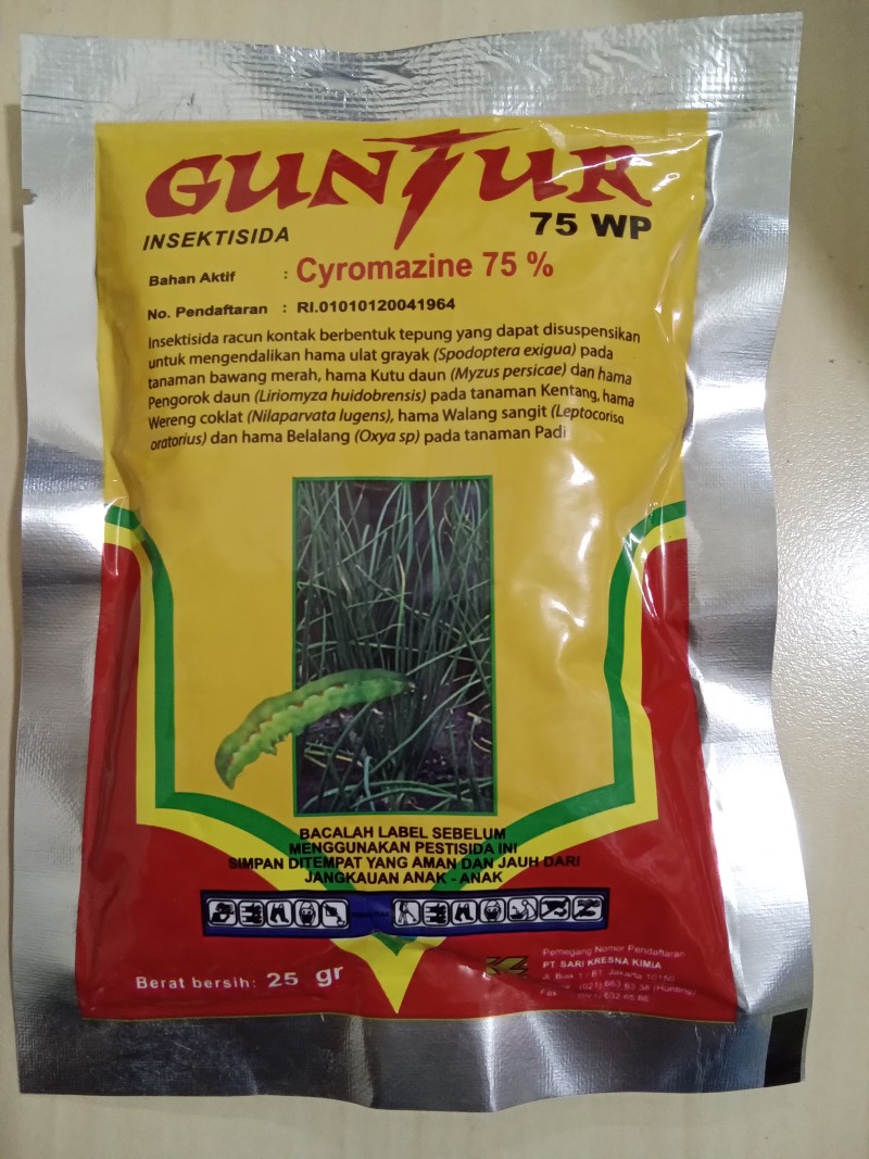 Guntur 75WP