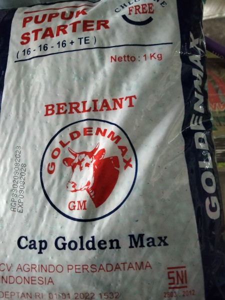 Goleden Max
