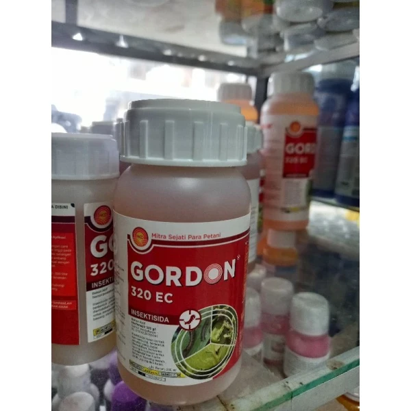 Gordon 100 ml