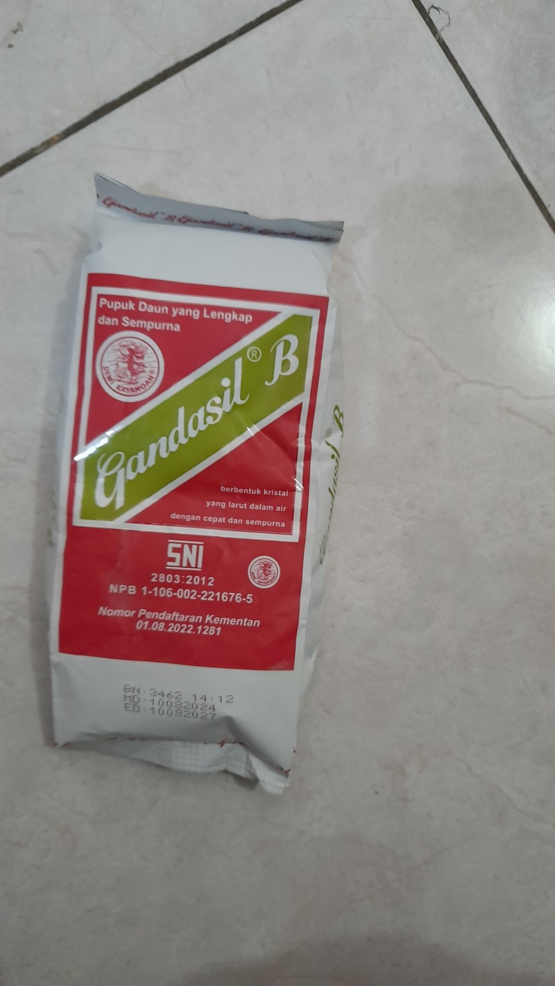 Gandasil Buah
