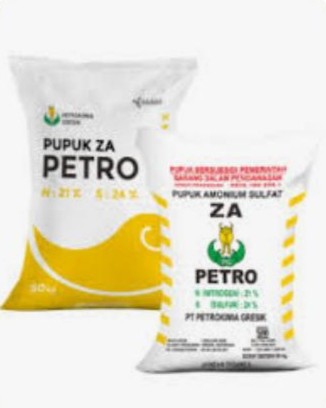 Za