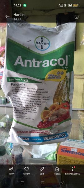 antracol