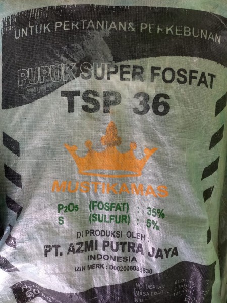 Pupuk Super Fosfat TSP 36