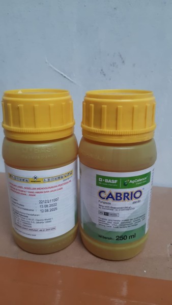 Cabrio cair
