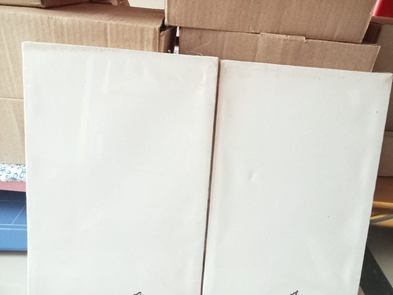 Kanvas 20×30