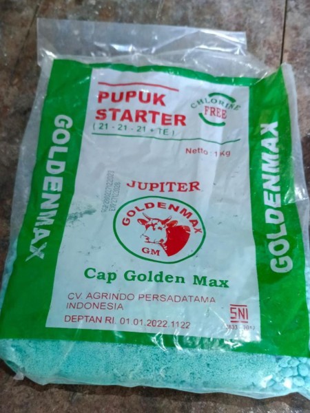Golden max 21-21