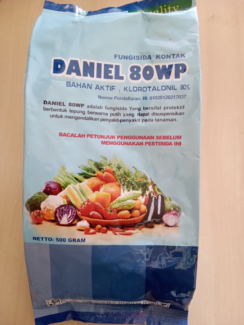 Daniel