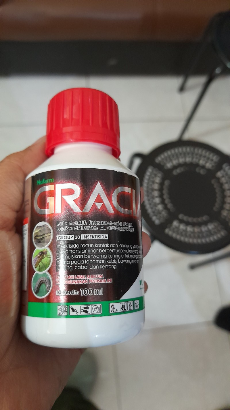 Gracia