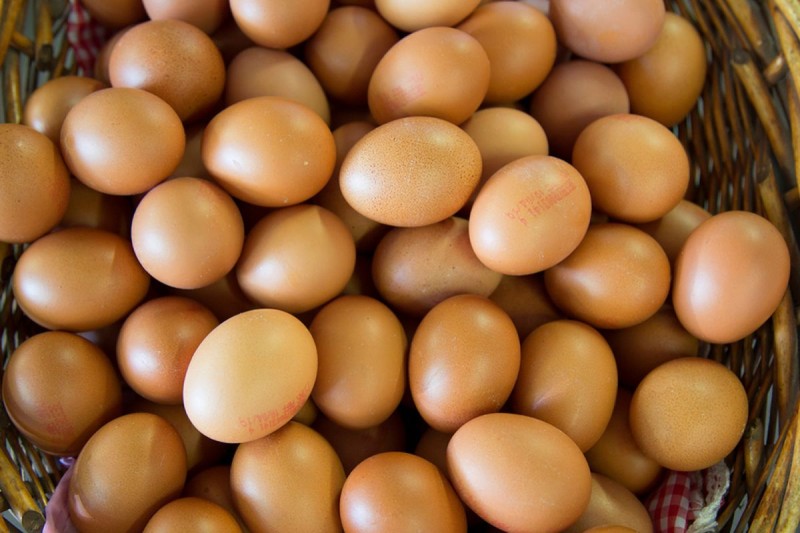 TELUR AYAM PILIHAN
