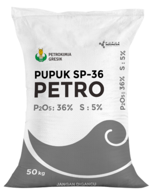 PUPUK SP 36