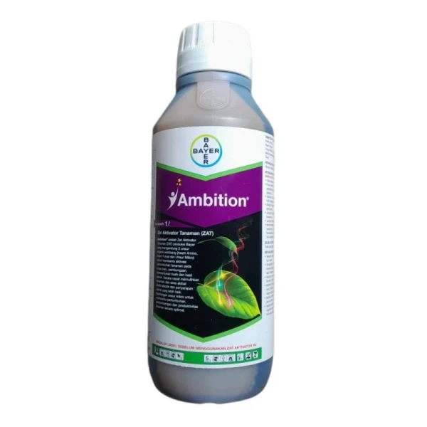 Ambition 1lt