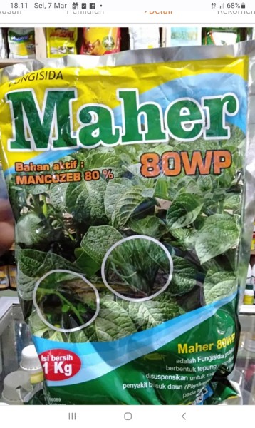 Maher