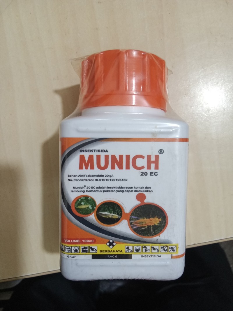 Munich 20ec