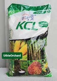 pupuk kcl
