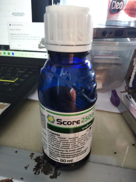Score 80ml