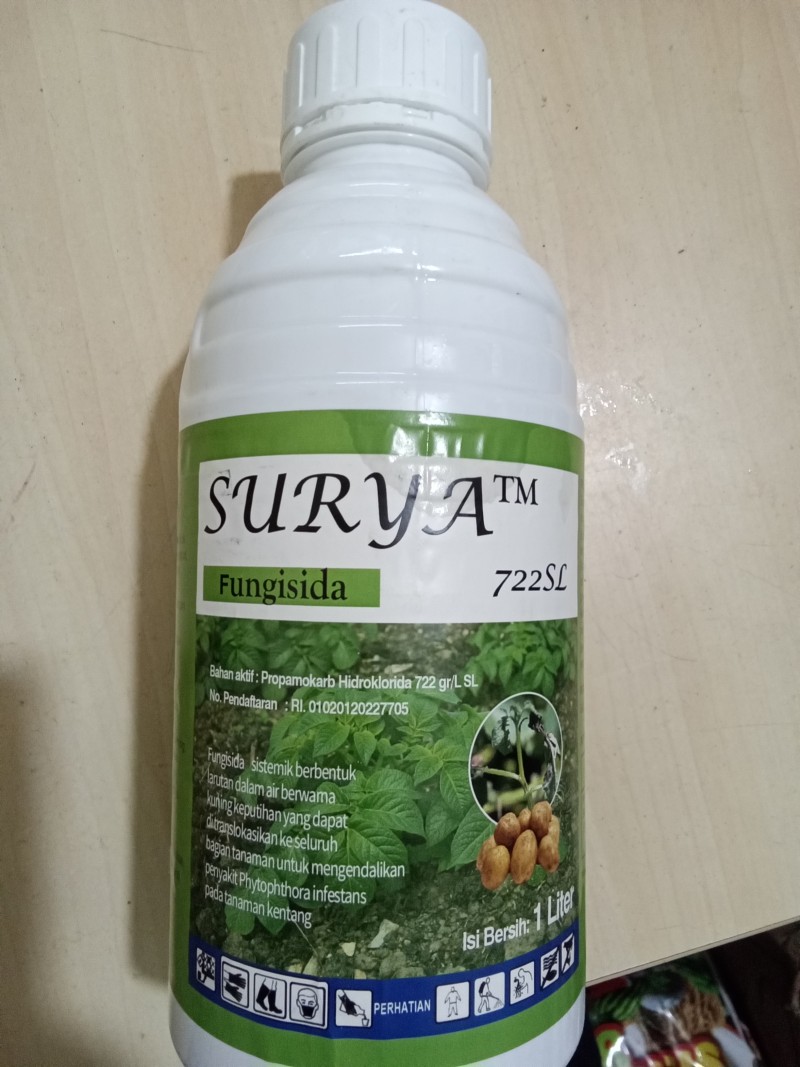 Surya 722sl