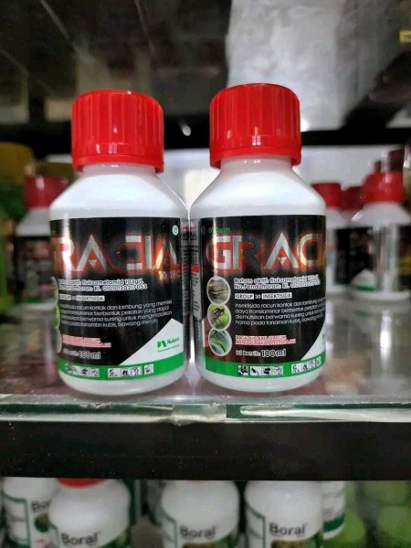 GRACIA 100 ML