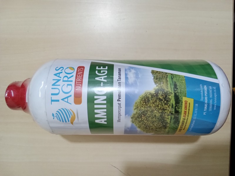 Amino-age