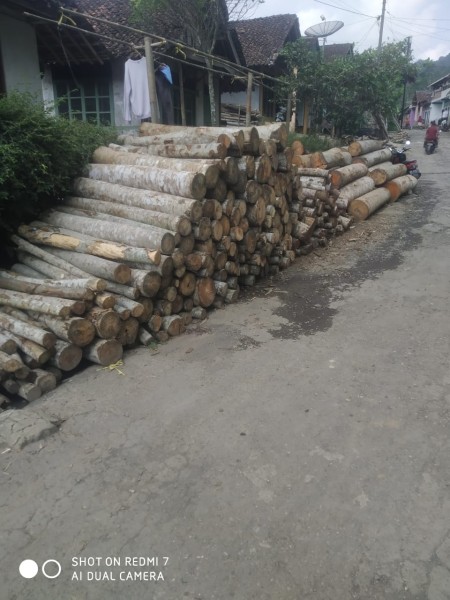 Kayu