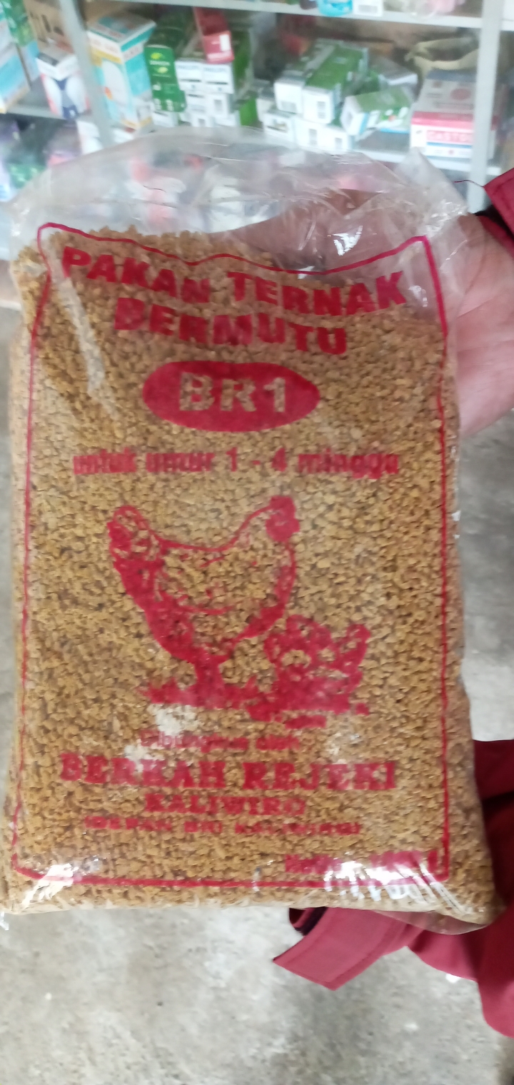 Four Ayam Berkah Rizki