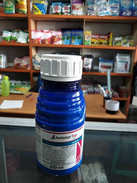 AmistarTop
