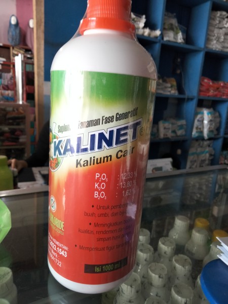 Kalinet