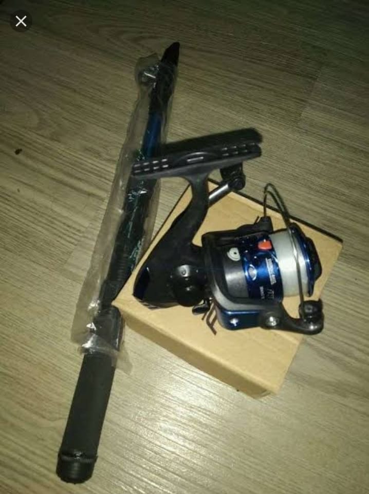 Walesan pancing
