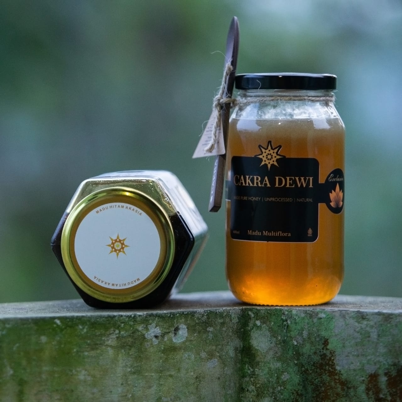 CAKRA DEWI