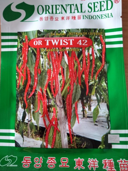 Benih Cabe OR TWIST 42