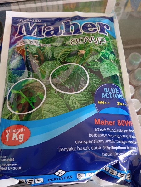 Maher 1 kg