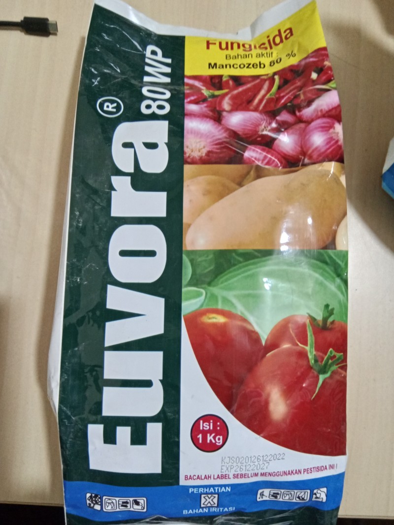 Euvora