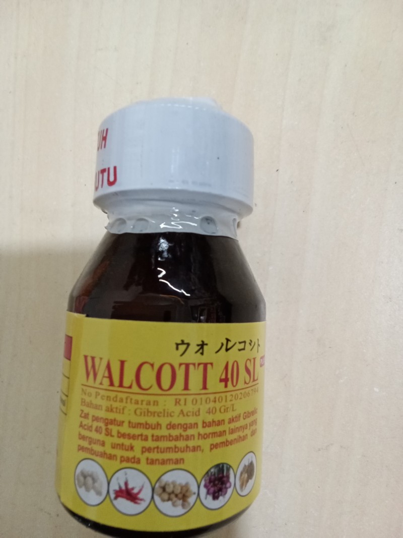 Walcott 40 sl