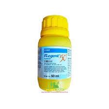 REGENT 50ML