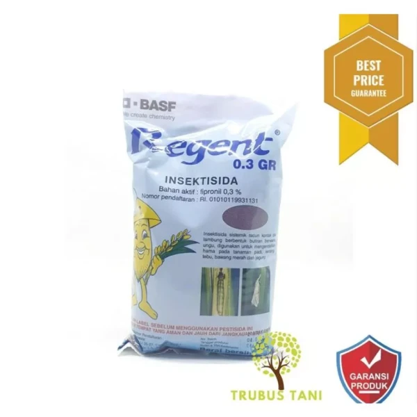 Regent