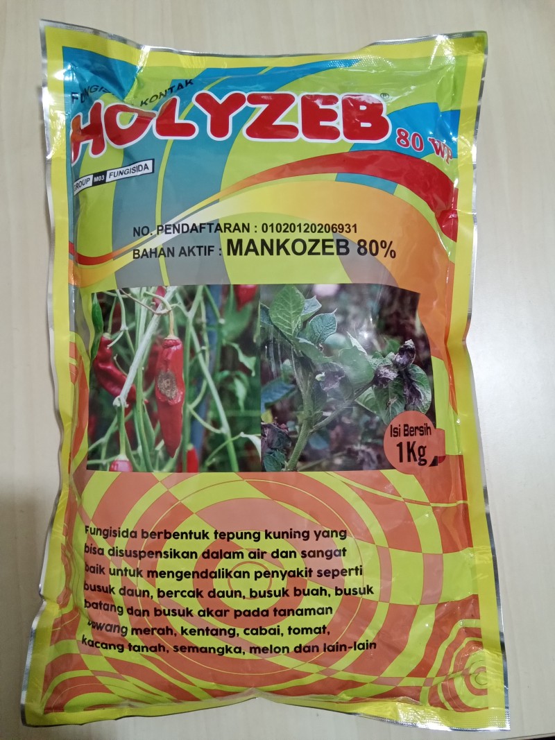 Holyzeb 80wp