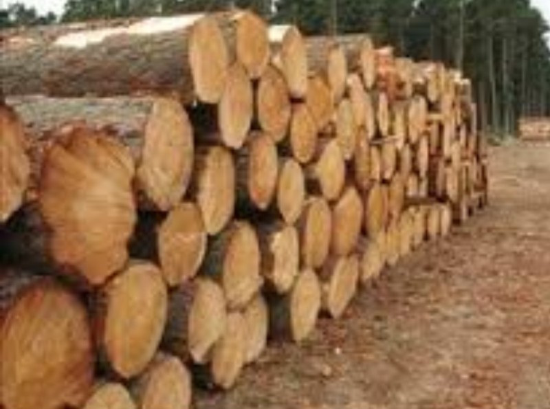 Kayu Log