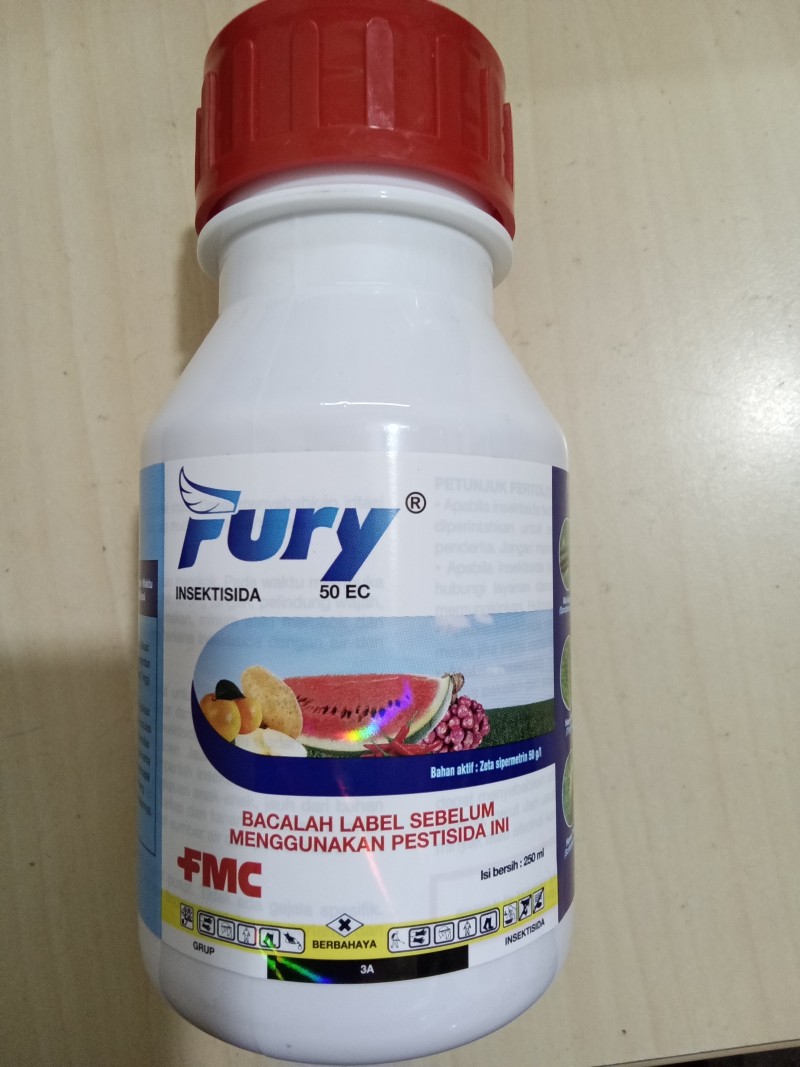 Fury 50 Ec