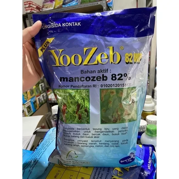 Yoozeb