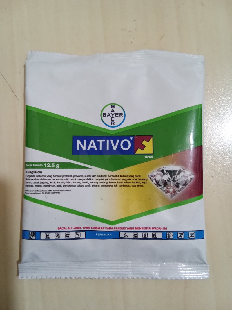 Nativo