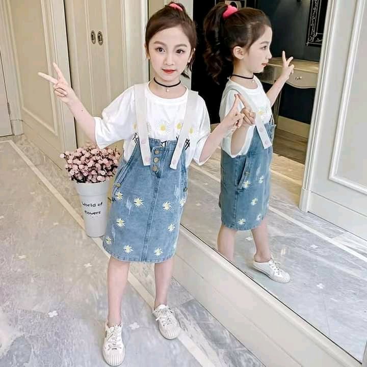 Dress impor