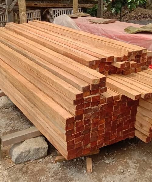 Kayu Usuk