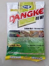 DANGKE 100gr