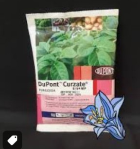Curzate