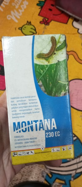 Montana