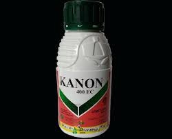 KANON 100ML