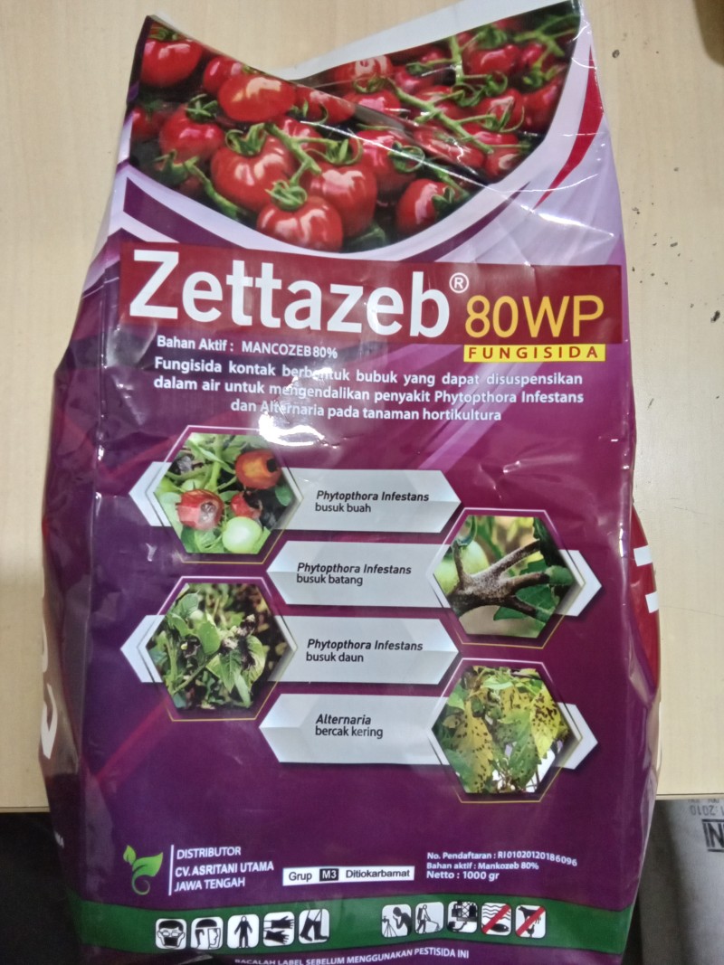 Zettazeb