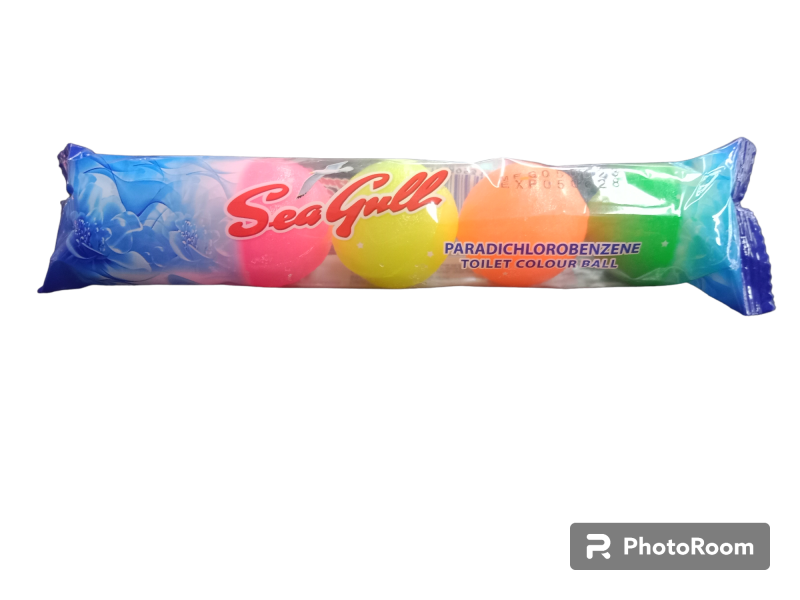 Seagull SG-531
