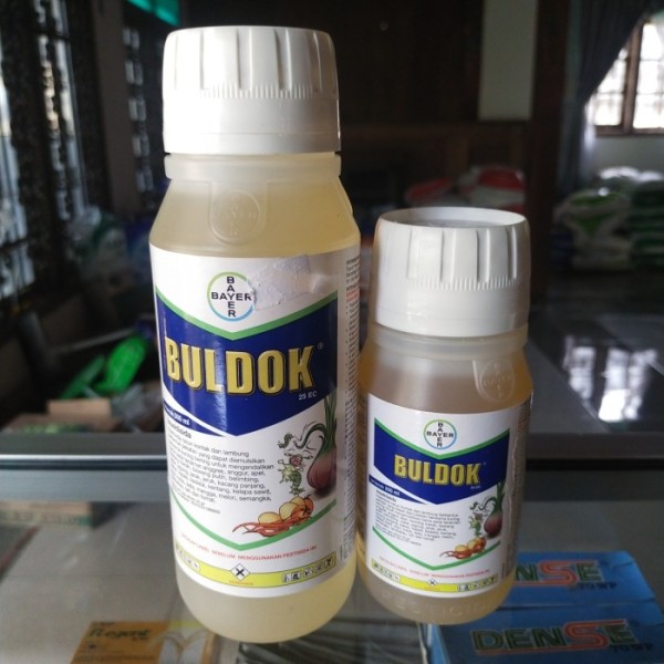 BULDOK