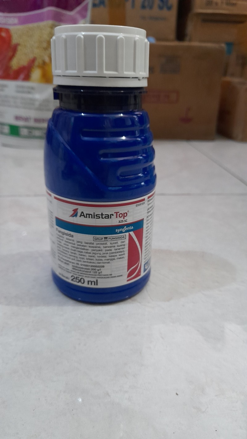 Amistartop